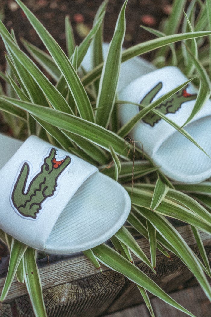 White slides with a crocodile logo placed on lush green leaves.